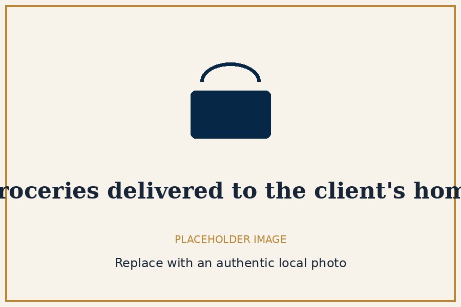 Placeholder image — groceries delivered to a client's home